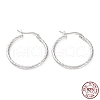 Rhodium Plated 925 Sterling Silver Hoop Earrings EJEW-K258-03B-P-1