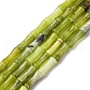 Natural Xiuyan Jade Beads Strands G-L624-G05-12x5mm-2