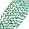 Natural Amazonite Beads Strands G-C116-A103-01-2