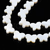 Natural Freshwater Shell Beads Strands SHEL-Q024-012-3