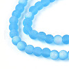 Frosted Transparent Glass Beads Strands GLAA-T032-T4mm-MBB06-3