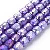 Opaque Baking Painted Glass Beads Strands EGLA-N006-008-B09-1