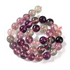 Natural Fluorite Beads Strands G-P530-B09-04-4