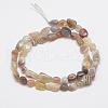 Natural Botswana Agate Beads Strands G-F521-45-2