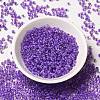12/0 Transparent Glass Seed Beads X-SEED-F003-03C-09-2