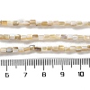 Natural Freshwater Shell Beads Strands SSHEL-B002-17-4