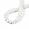 Natural Trochid Shell/Trochus Beads Strands SSHEL-N027-128-4