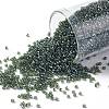 TOHO Round Seed Beads SEED-JPTR15-0119-1