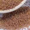 MIYUKI Round Rocailles Beads SEED-X0056-RR0275-1