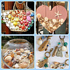 Shell Pendants SSHEL-TA0001-03-8