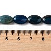 Natural Apatite Beads Strands G-Q026-A01-01-5