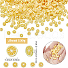 SUNNYCLUE 100G Handmade Polymer Clay Nail Art Decoration CLAY-SC0001-82A-2