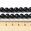 Natural Black Lip Shell Beads Strands SSHEL-C013-01C-4
