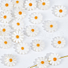  20Pcs Natural Freshwater Shell Beads SHEL-NB0001-65B-8