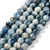 Natural Blue Ice Glacierite Stone Beads Strands G-G078-A01-04-1
