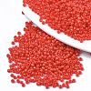 Baking Paint Glass Seed Beads SEED-S042-05A-05-1