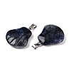 Natural Sodalite Pendants G-T138-208J-2