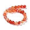 Natural Striped Agate/Banded Agate Beads Strands G-Z060-A01-B19-3