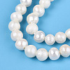 Natural Cultured Freshwater Pearl Beads Strands PEAR-N013-04F-4