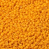 MIYUKI Round Rocailles Beads X-SEED-G007-RR4453-3