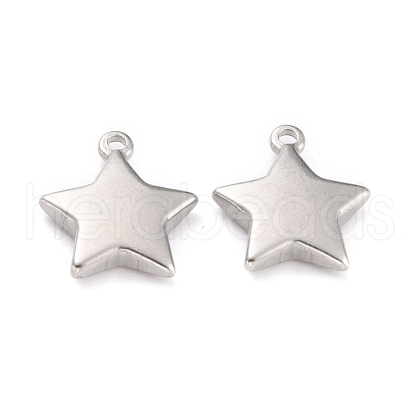 Non-Tarnish 304 Stainless Steel Charms STAS-O145-31B-P-1