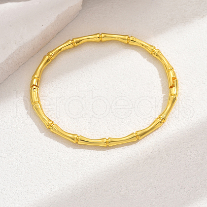 Retro Bamboo Hinged Bangles for Women TP7657-1-1