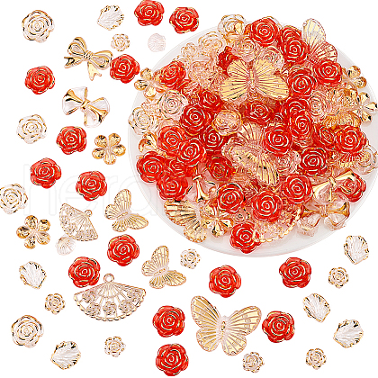   Transparent Acrylic Beads OACR-PH0004-32B-1