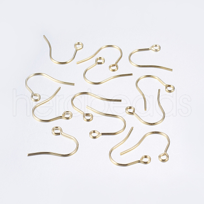 304 Stainless Steel Earring Hooks STAS-P162-13P-B-1
