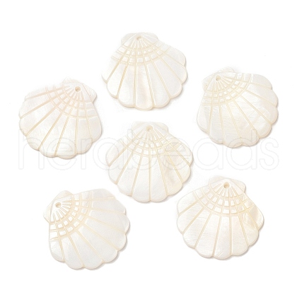 Natural Freshwater Shell Pendants SHEL-F007-20-1