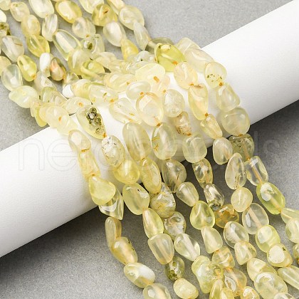 Natural Gold Prehnite Beads Strands G-K395-A07-01-1
