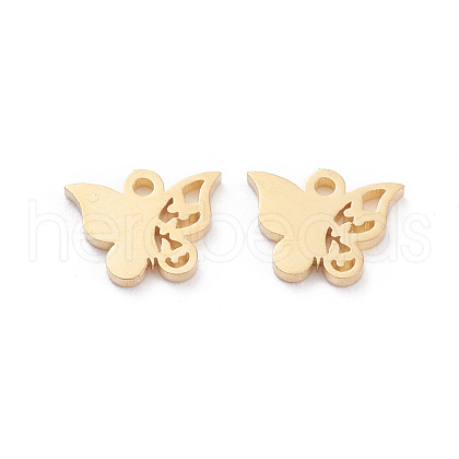 304 Stainless Steel Charms STAS-I151-05G-1