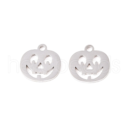 Tarnish Resistant 304 Stainless Steel Charms STAS-Q201-T058-1