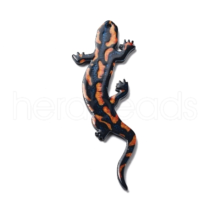Acrylic Pendants OACR-I016-10-1