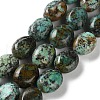 Natural African Turquoise(Jasper) Beads Strands G-M420-D17-01-2