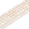 Natural Cultured Freshwater Pearl Beads Strands PEAR-P064-20D-01A-2
