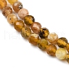 Natural Yellow Opal Beads Strands G-RM2025-A35-6mm-4