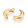 304 Stainless Steel Charms STAS-N109-138G-2