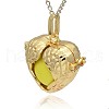 Golden Tone Brass Hollow Heart Cage Pendants KK-J241-07G-2