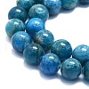 Natural Apatite Beads Strands G-K245-A03-05-3