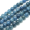 Natural Apatite Beads Strands G-S150-18-10mm-2