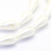 Shell Pearl Beads Strands BSHE-P024-06-3