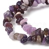 Natural Lepidolite/Purple Mica Stone Beads Strands G-Z081-A01-4
