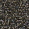 MIYUKI Delica Beads X-SEED-J020-DB1773-3