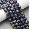 Natural Sodalite Beads Strands G-R015-B01-8mm-1