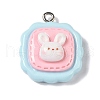 Opaque Resin Pendants RESI-S403-04A-1