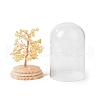 Natural Yellow Quartz Chips Money Tree in Dome Glass Bell Jars with Wood Base Display Decorations DJEW-B007-04F-3