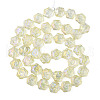 Electroplate Glass Beads Strands EGLA-N008-018-D01-2