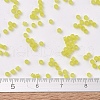 MIYUKI Delica Beads SEED-X0054-DB0743-3