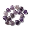 Natural Amethyst Beads Strands G-P570-E17-01-3