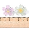 AHADEMAKER 24Pcs 6 Colors Resin Shoelace Charms AJEW-GA0005-15-3